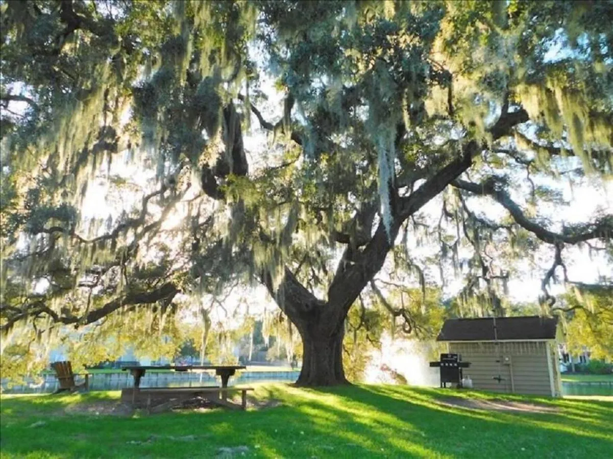 S6 Family Haven: Peaceful Retreat With Tennis And Pool Access Holiday home St. Simons Island