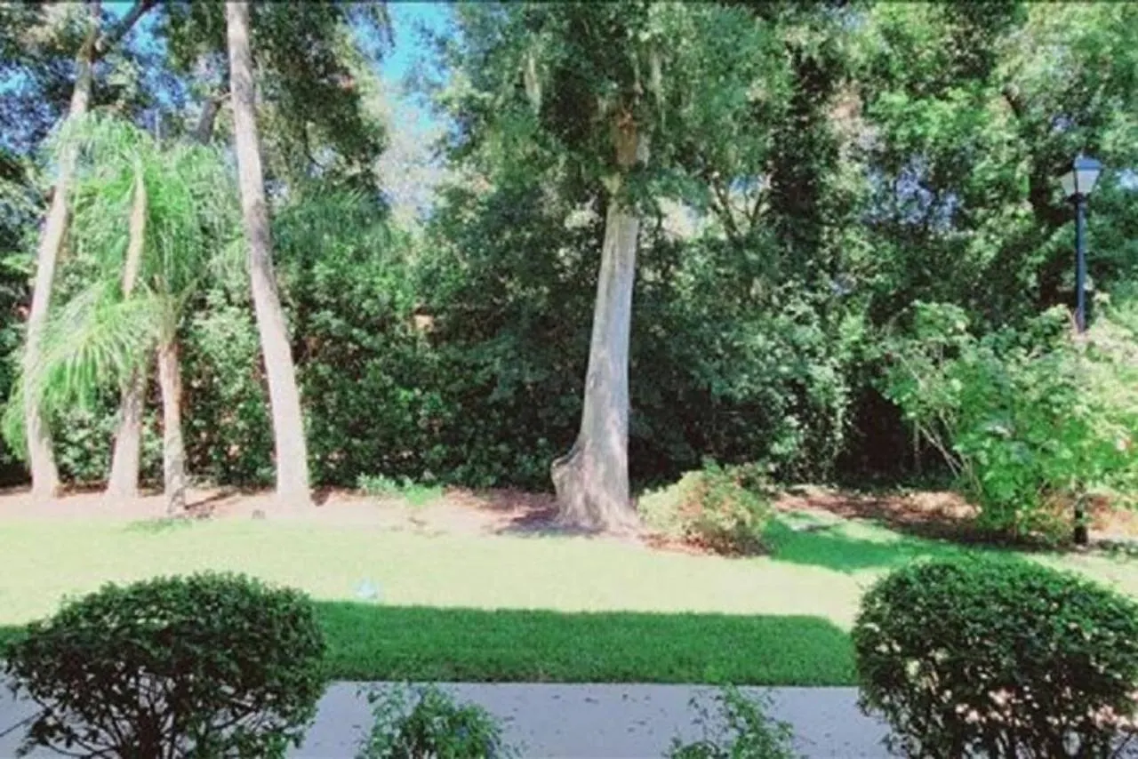 Island Comfort: Cozy Downstairs Retreat With Updated Kitchen * St. Simons Island