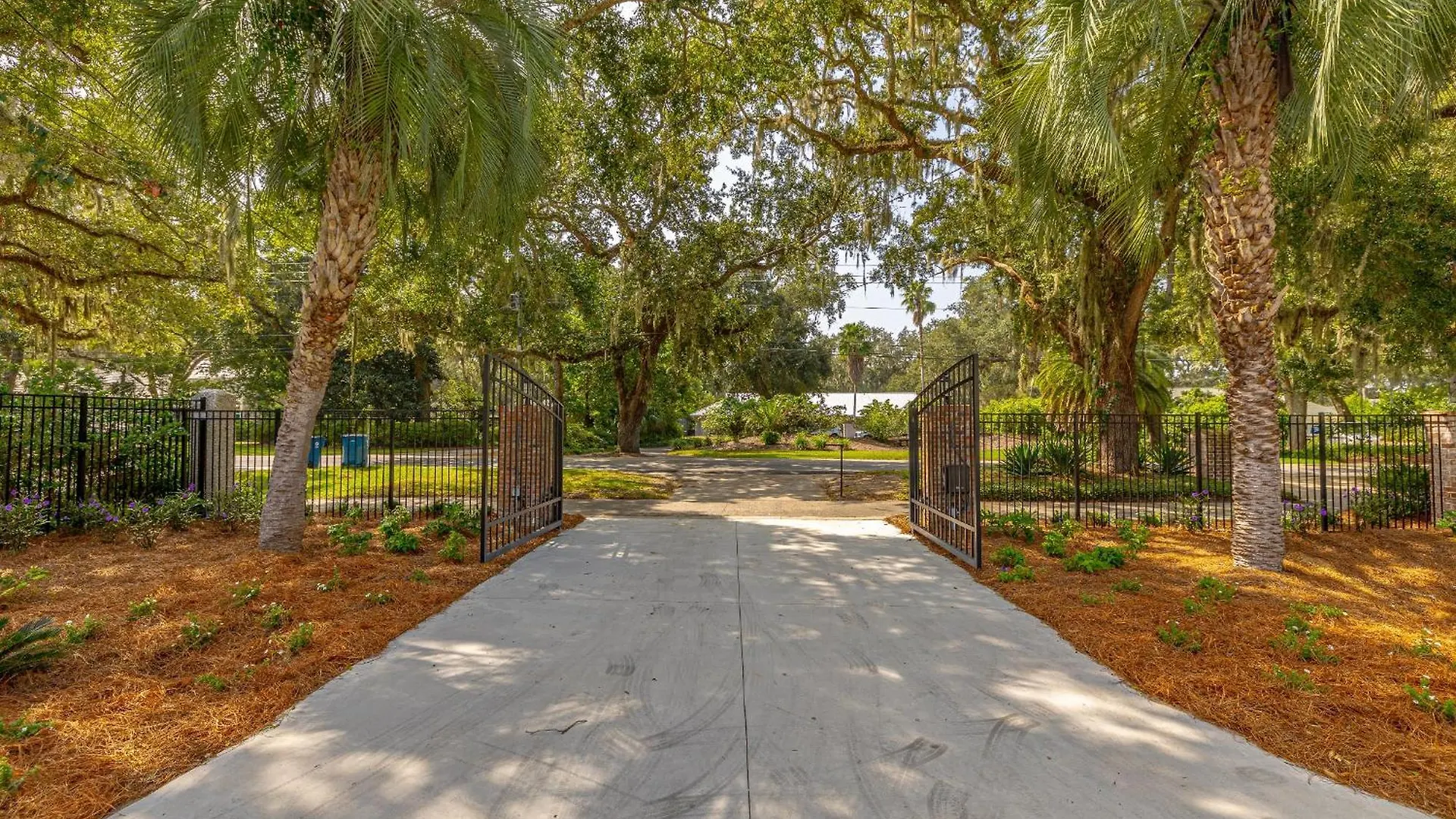 Saltwater Oaks * St. Simons Island