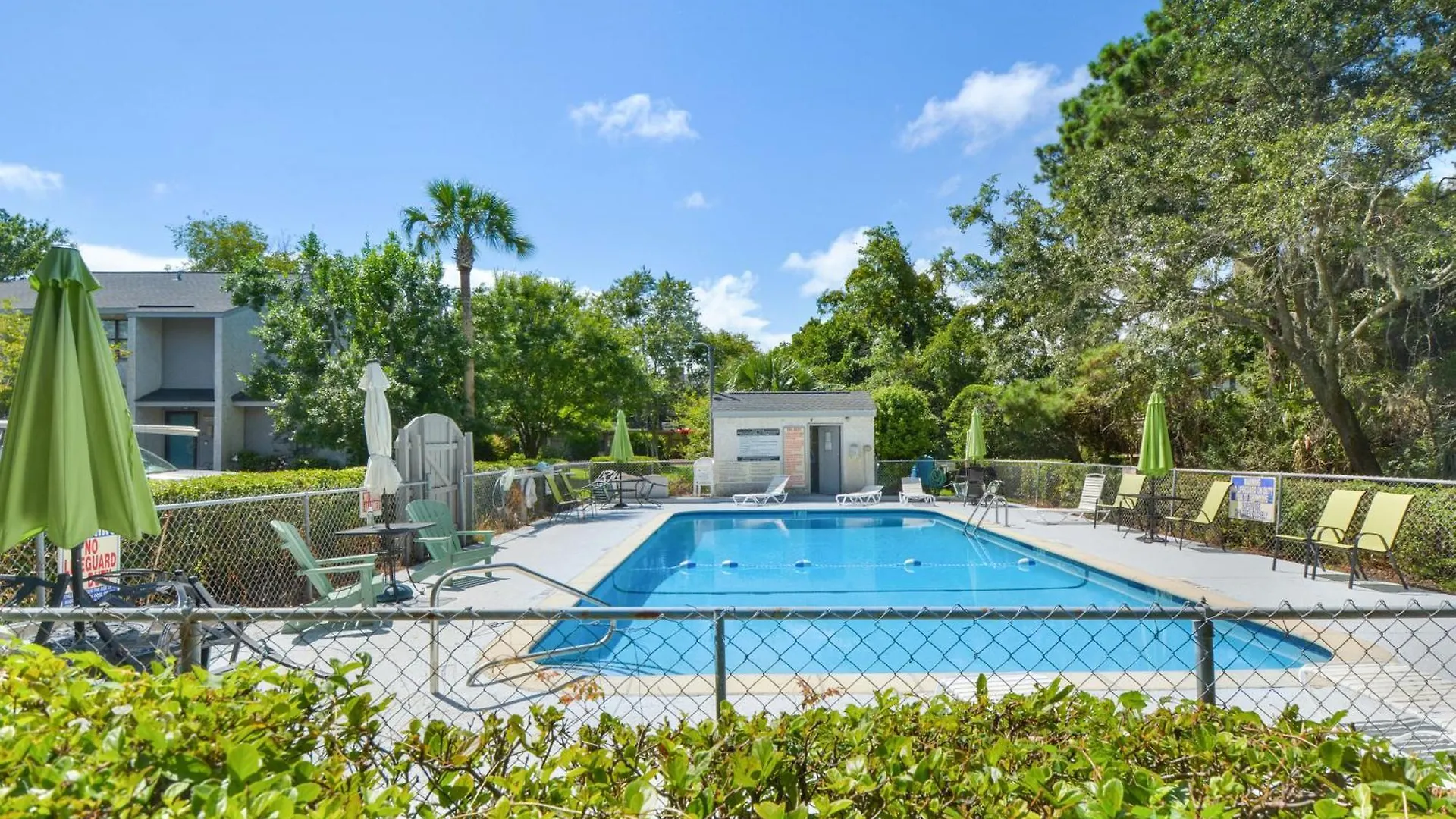 Island Marshwood C-3 St. Simons Island