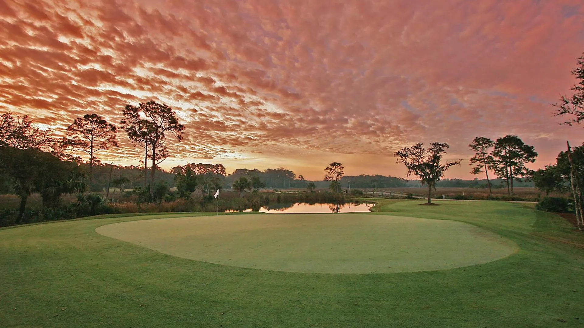 ذا كينج آند برينس بيتش آند جولف ريزورت منتجع St. Simons Island