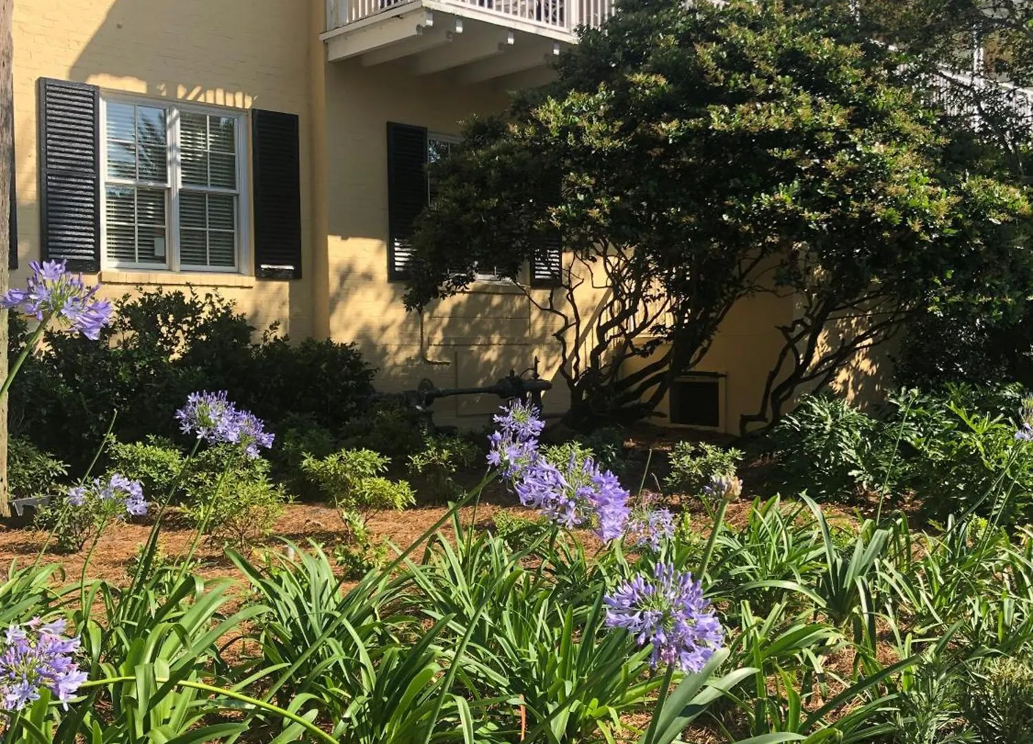 ذا كينج آند برينس بيتش آند جولف ريزورت منتجع St. Simons Island