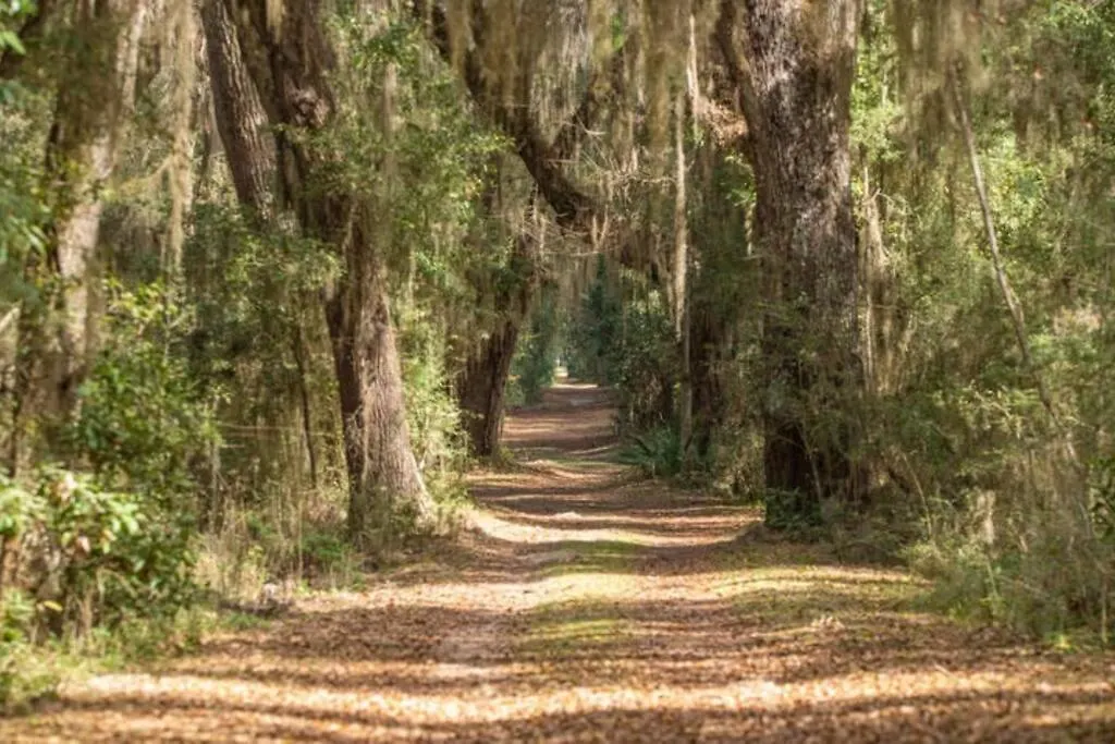 Sunrise Bliss 3 Bedroom St Simons Island 3 Minutes To Pier *