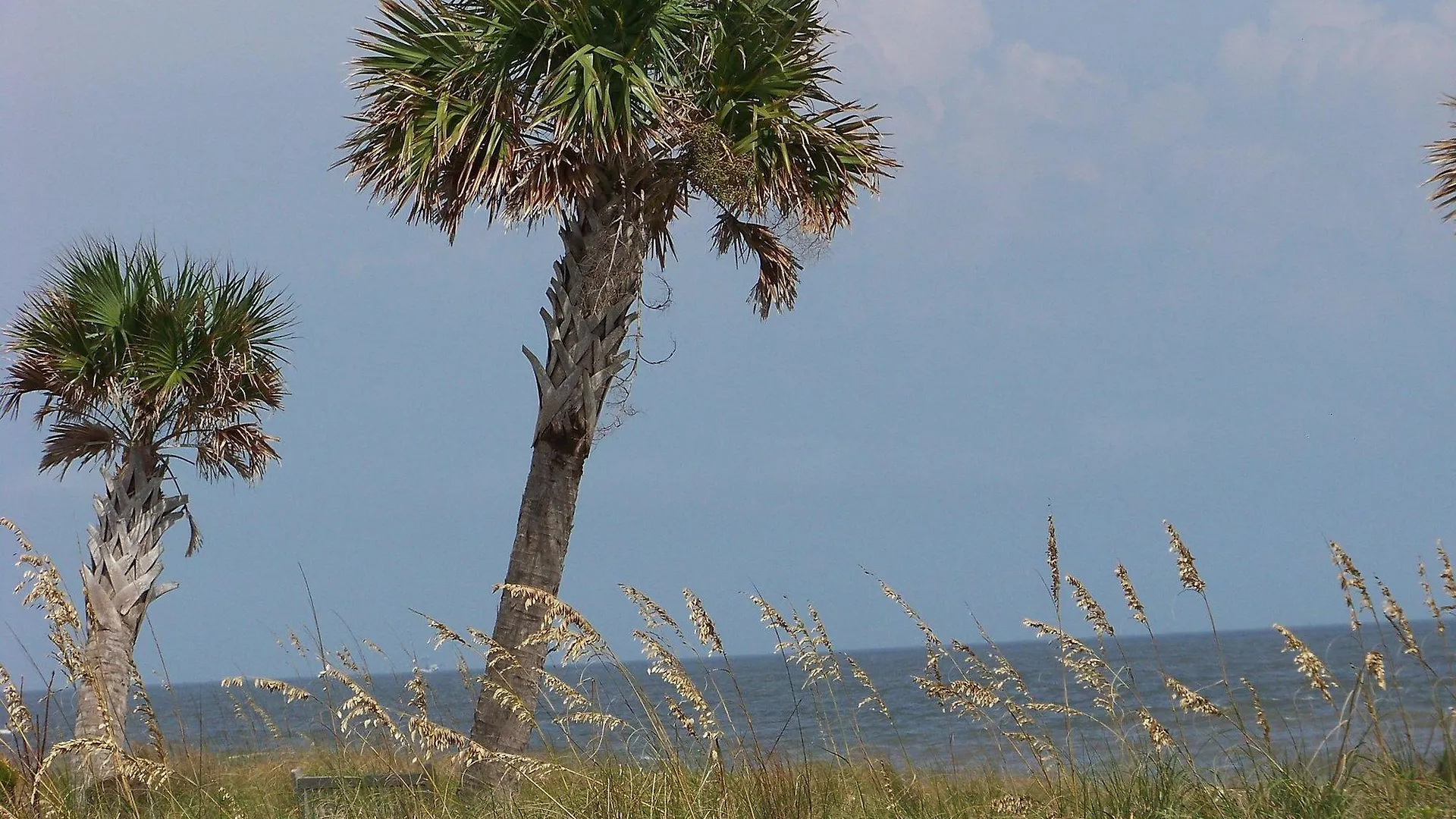 Express Saint Simons Island By Ihg Resort St. Simons Island