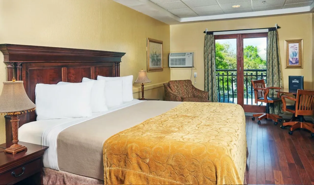 Hotel Ocean & 3*