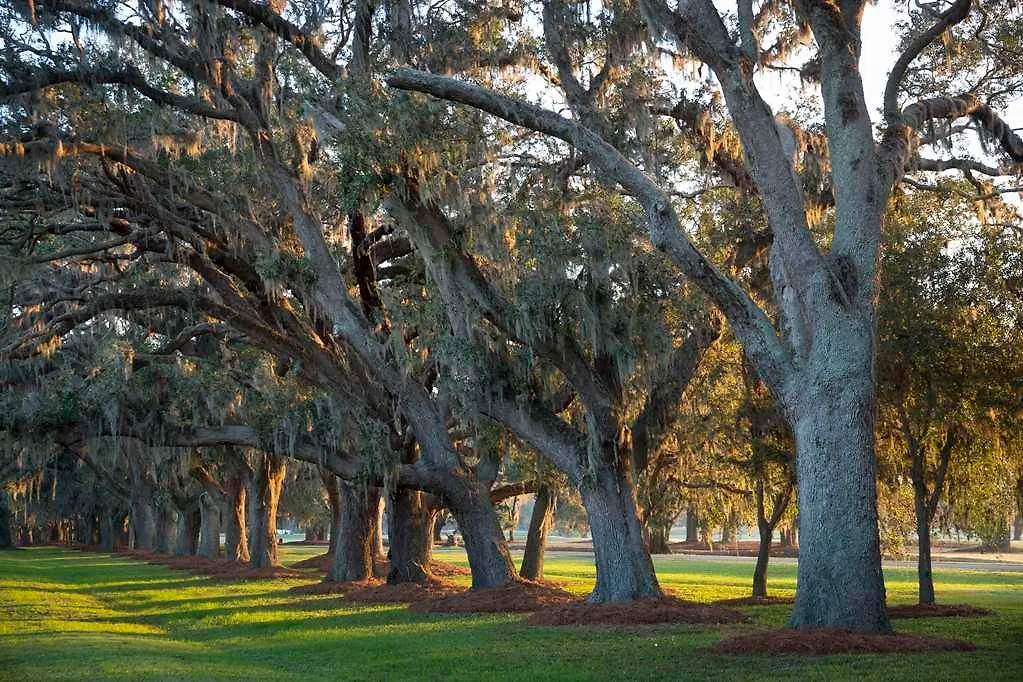 The At Sea Island Θέρετρο St. Simons Island