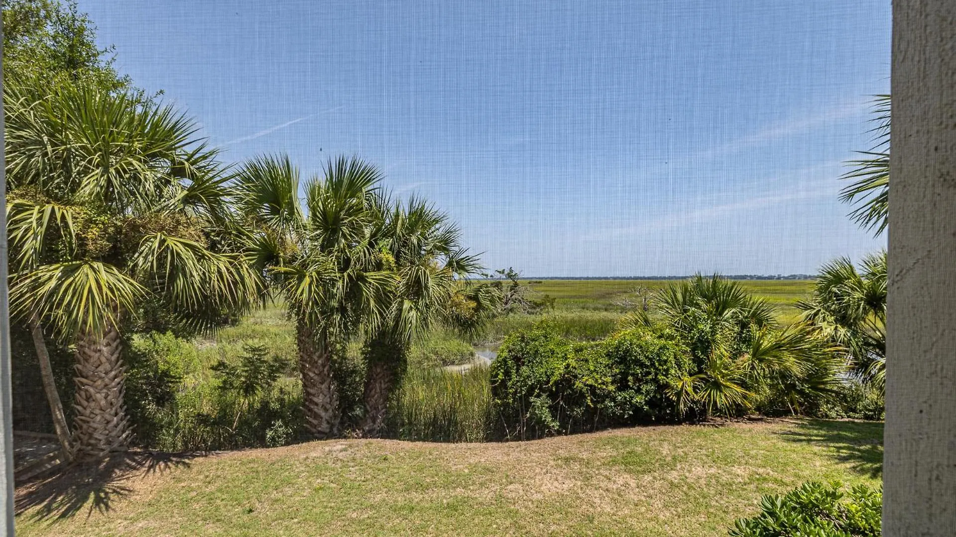 Birds Eye View St. Simons Island